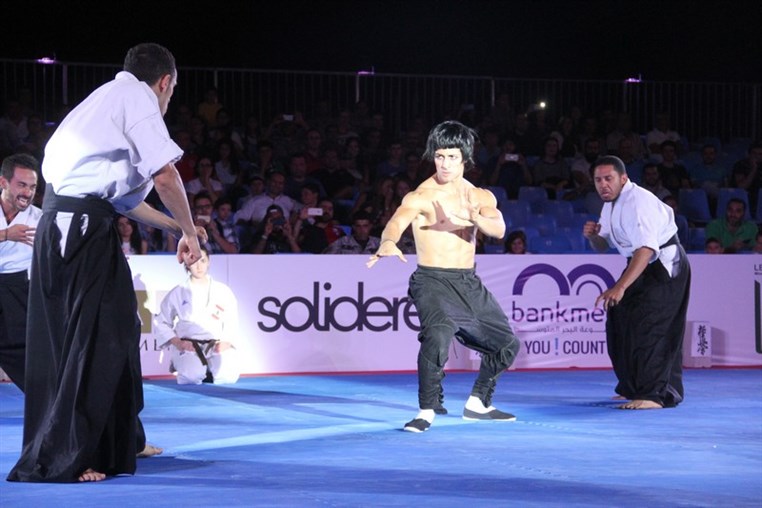 Martial Arts Festival